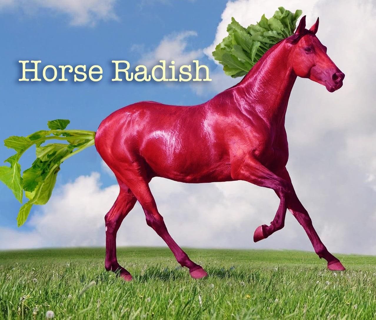 RADISH