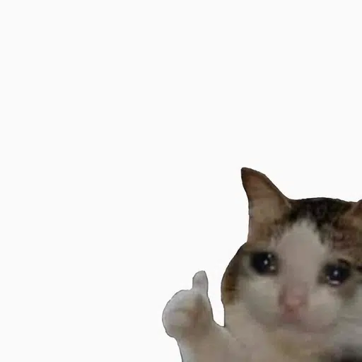 okcat