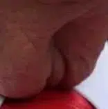 Tussy