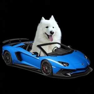 LAMBO logo