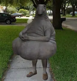 snorp