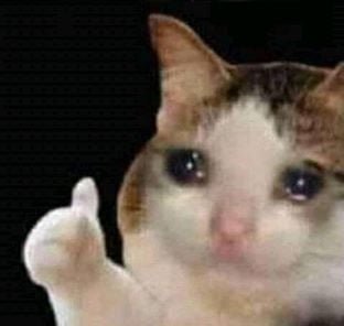 sadcat