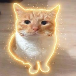 Cheddar