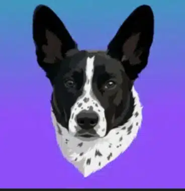 ADA
