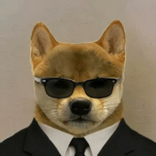 SPY