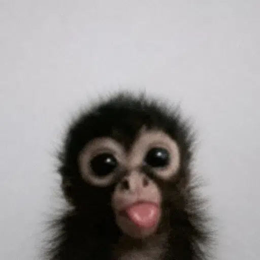 ape