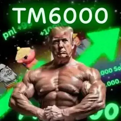 TM6000