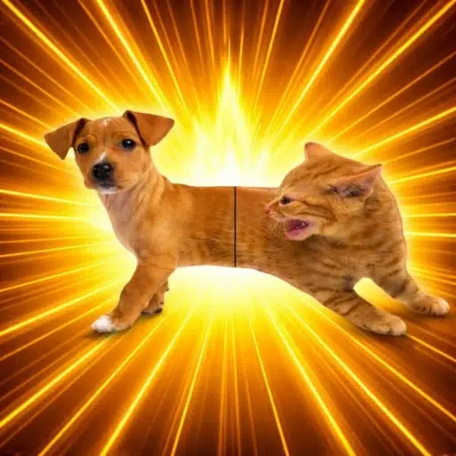 CATDOG