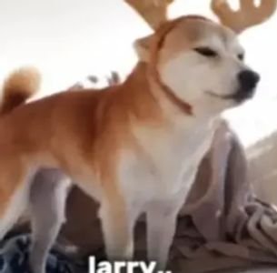 LARRY