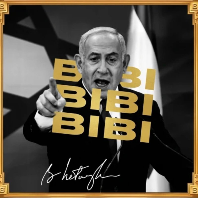 $BIBI token logo