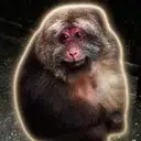 星星