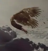 Icarus