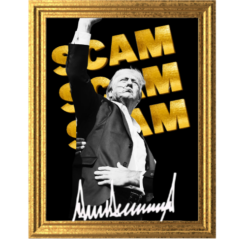 SCAMCOIN logo