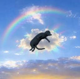 Ascend