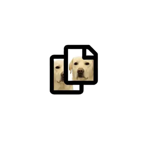 C0PYDOG