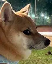 sideeye