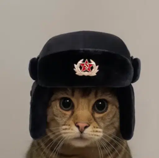 Kot