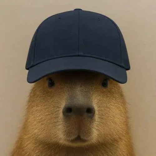 CAPY logo