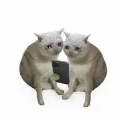 copycat