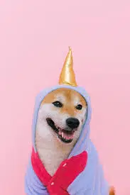 INU