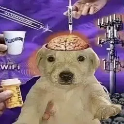 BRAINWASH
