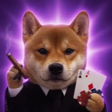 casinu