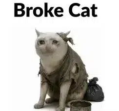 BROKECAT