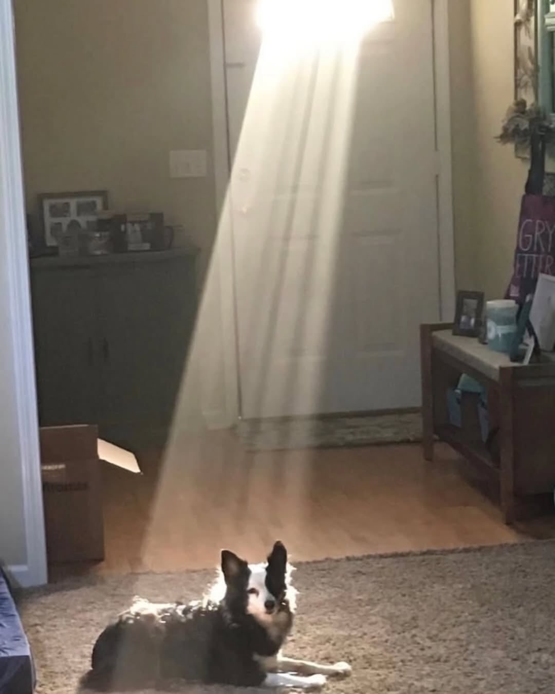 AURA