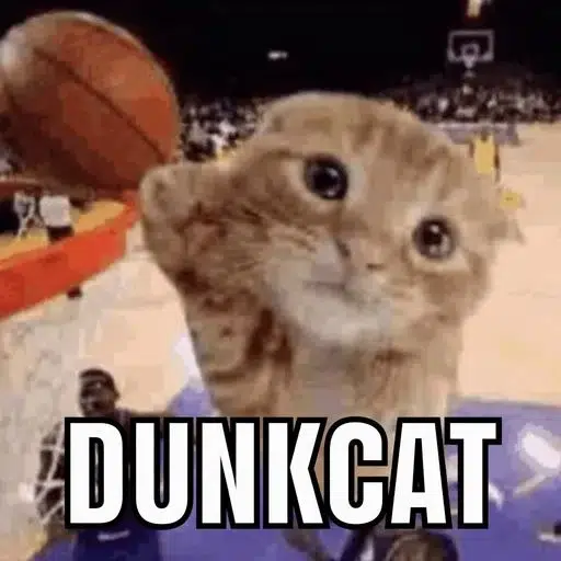 dunkcat