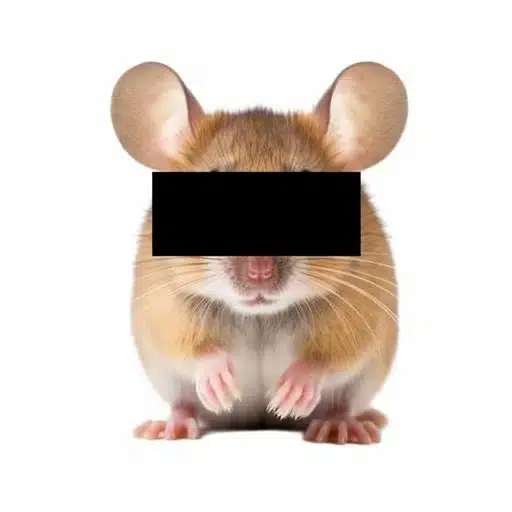 ANONYMOUSE logo