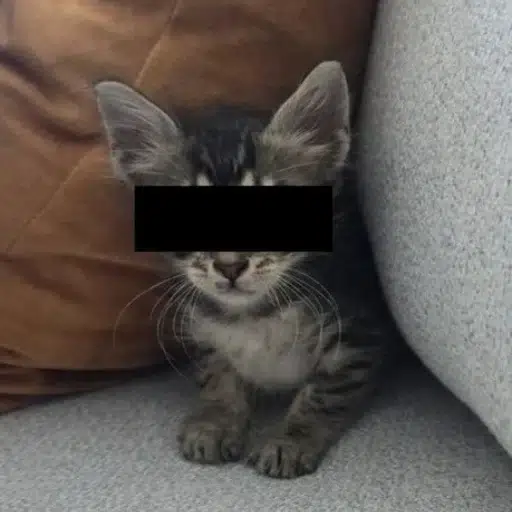 RCAT