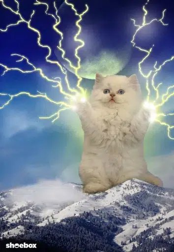 SparkKitty