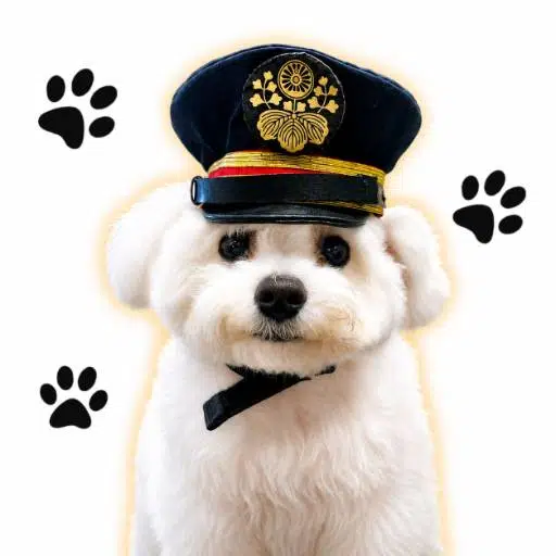 Wanwan