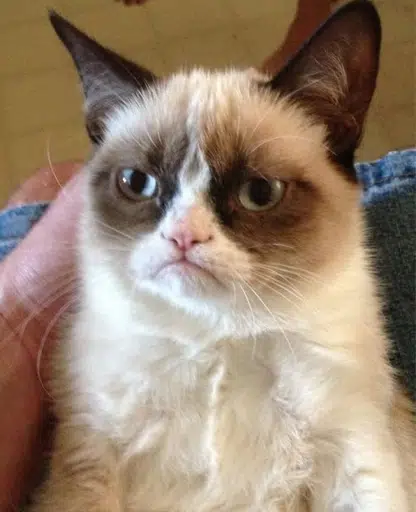 Grumpy