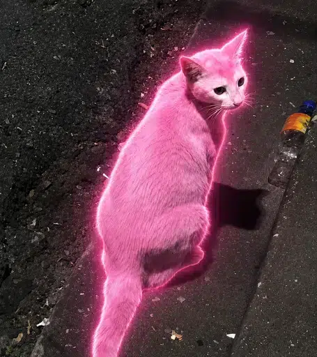 PINKCAT