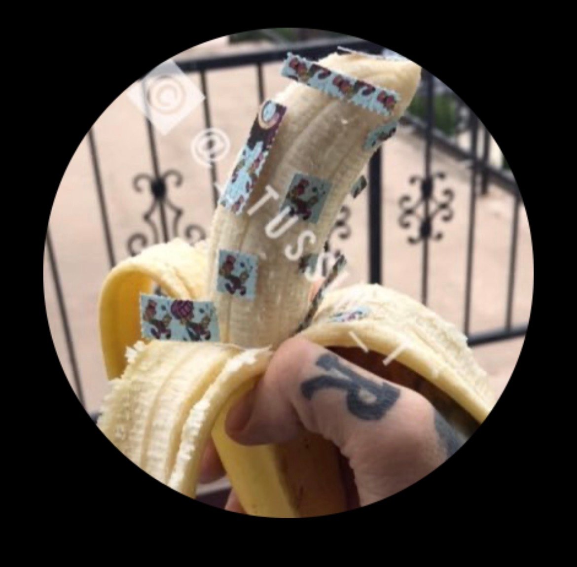 BANANAS