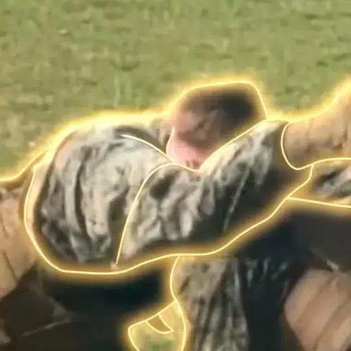CENTIPIDE