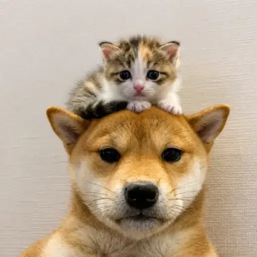 ON