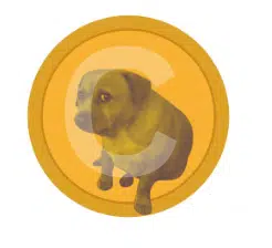 Cashew