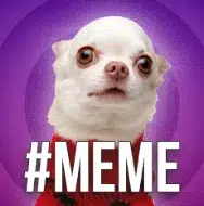 MEME
