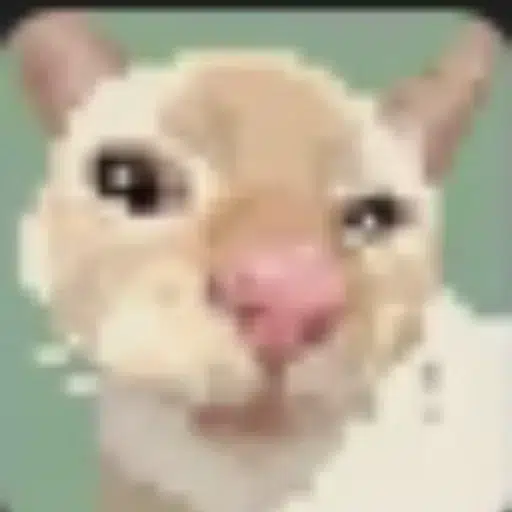 cutecat