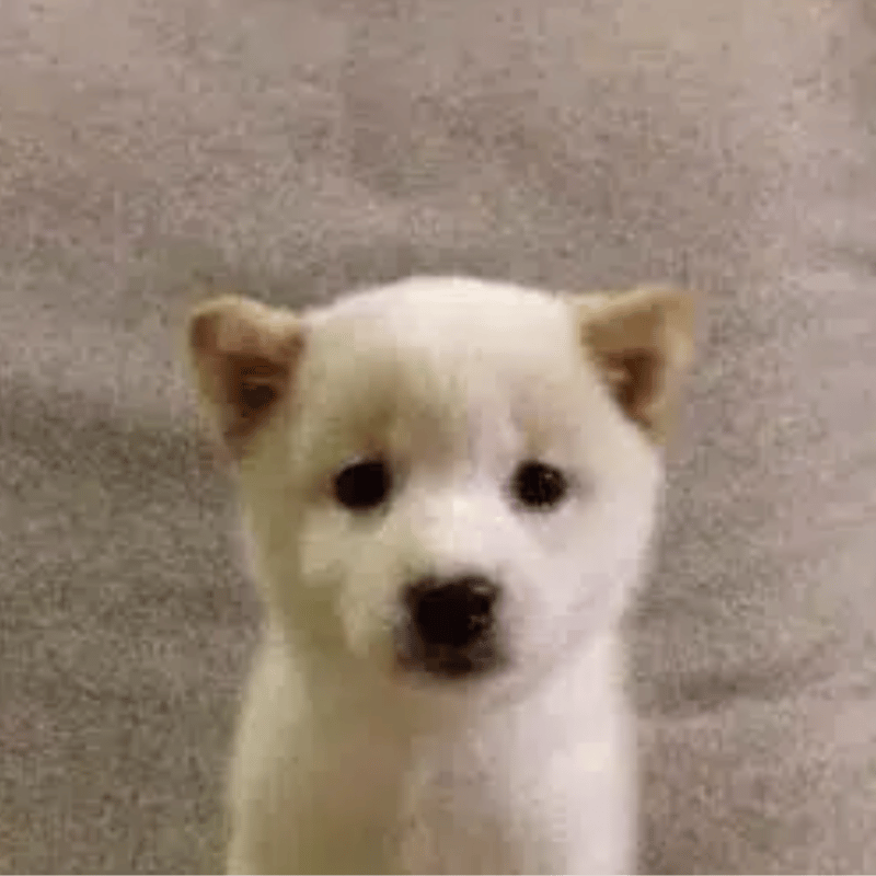 tod