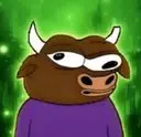 Bulls