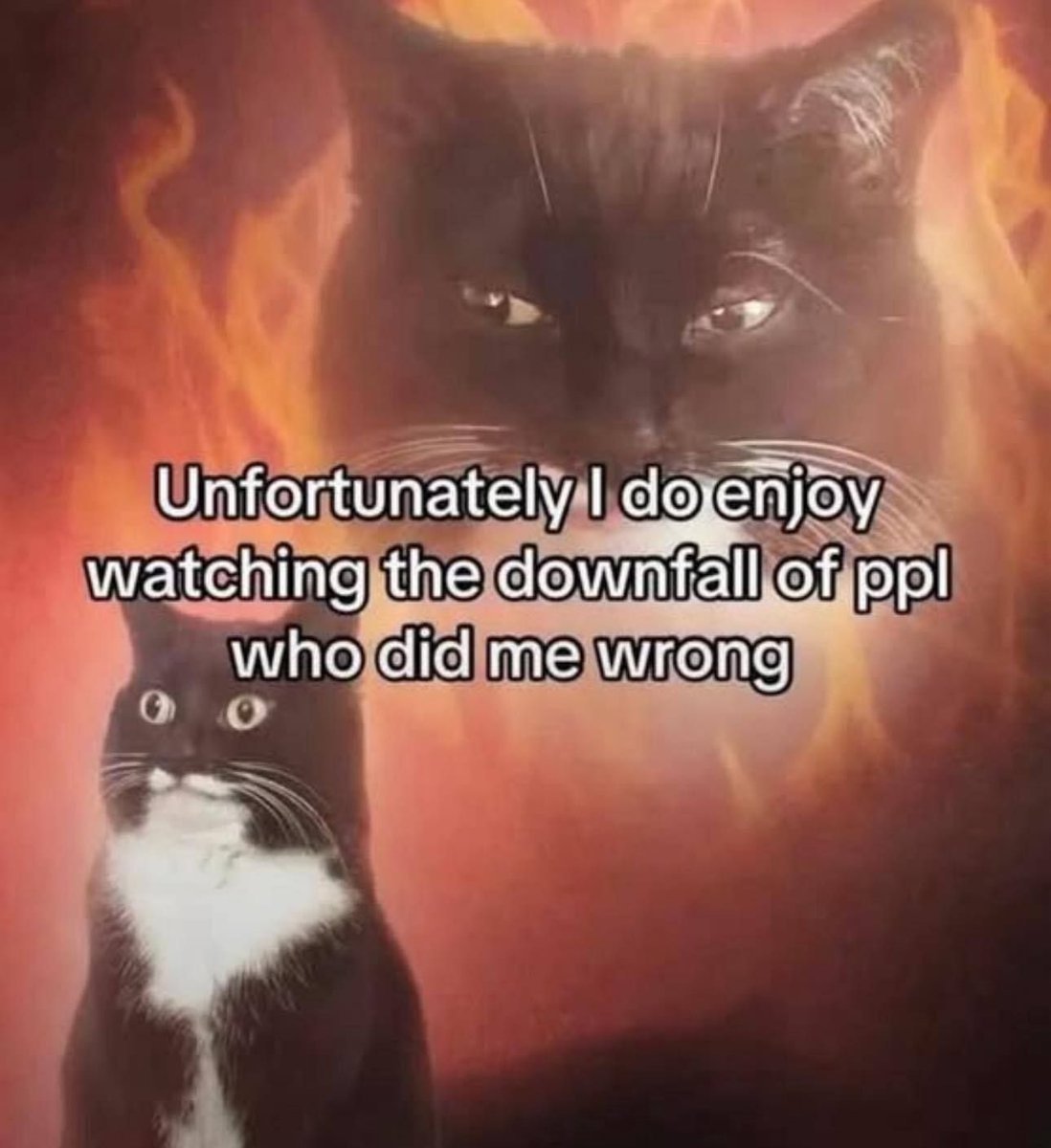 RageCat