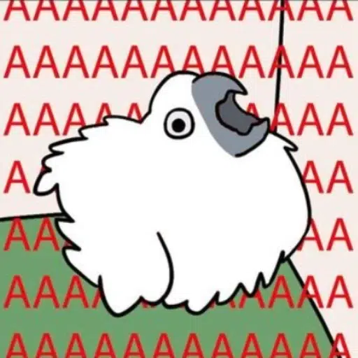 AAAAAAAAAAAAA