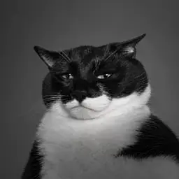 GIGACAT