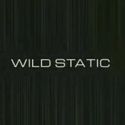STATIC logo