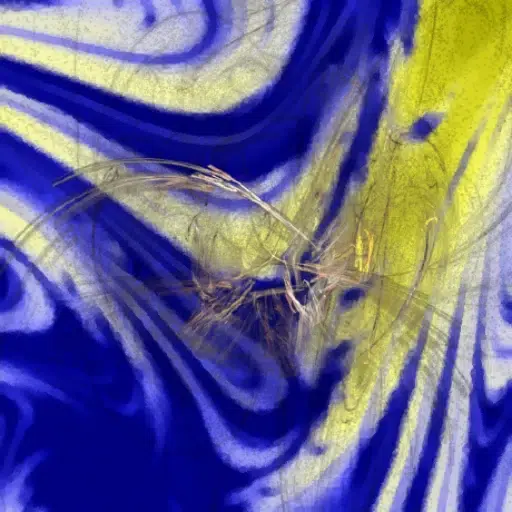 Sam