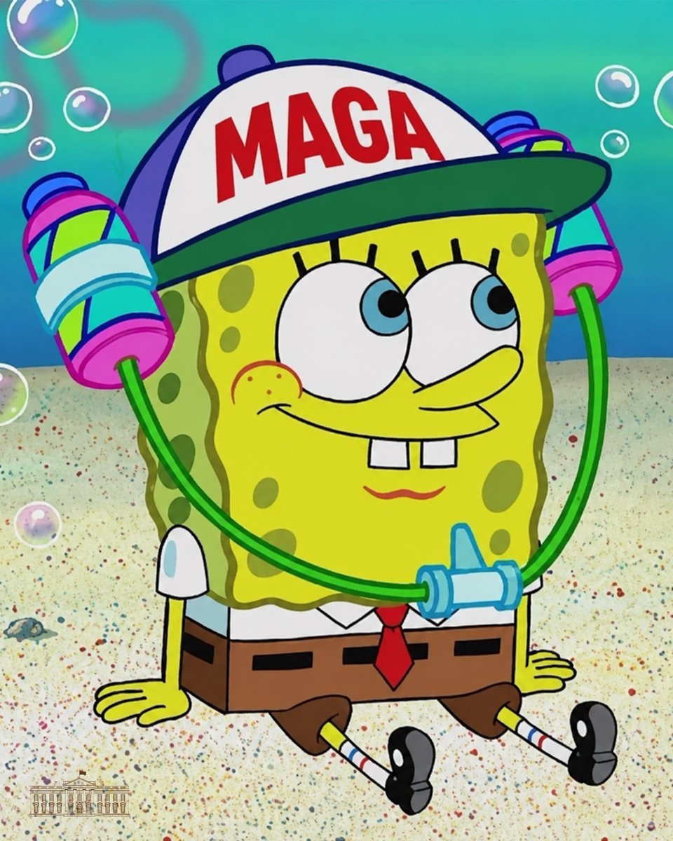 MAGABOB