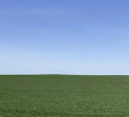 destiny
